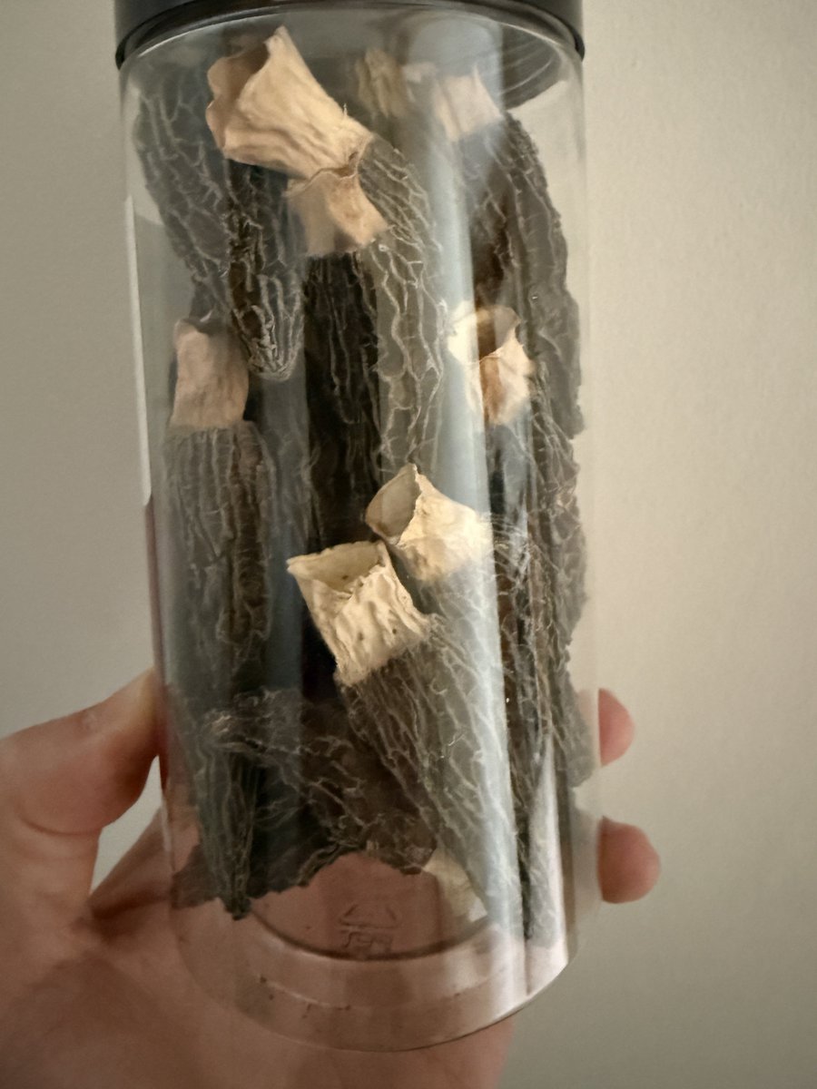 Finally! At last I have found some morels! Ok they may have been in a Chinese supermarket but it still counts right?