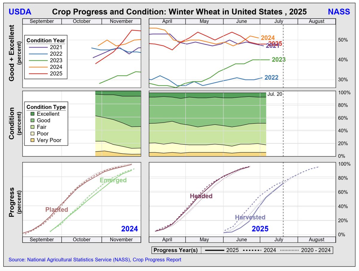 FarmPolicy's tweet image. Winter #wheat harvested in the United States is at 73%, as of July 20, up from 63% last week.
From the @usda_nass: tinyurl.com/kxdss9jk