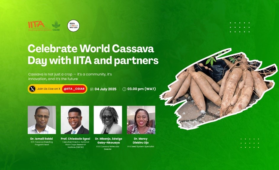 "In Nigeria and across Africa, cassava is more than just a staple crop, it is a powerhouse of potential, silently yet profoundly driving food security, alleviating poverty, fostering sustainable livelihoods, and fueling an emerging entrepreneurial and industrial revolution."