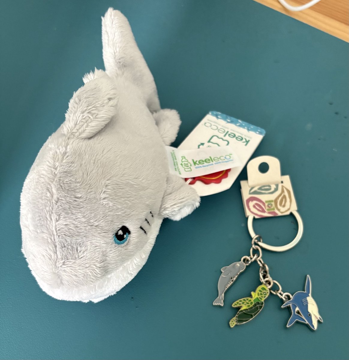 Orcinus68's tweet image. Also presents for me from Sis for being on litter tray duty while she was away 😁