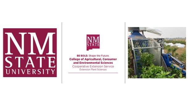 NMSUVPR's tweet image. #NMSUResearch - Dr. Israel S. Joukhadar, senior research scientist in Extension Plant Sciences, is funded by the New Mexico Chile Commission to investigate mechanical harvest loss evaluation. @nmsu_aces @NMSUResearch @CoresNmsu