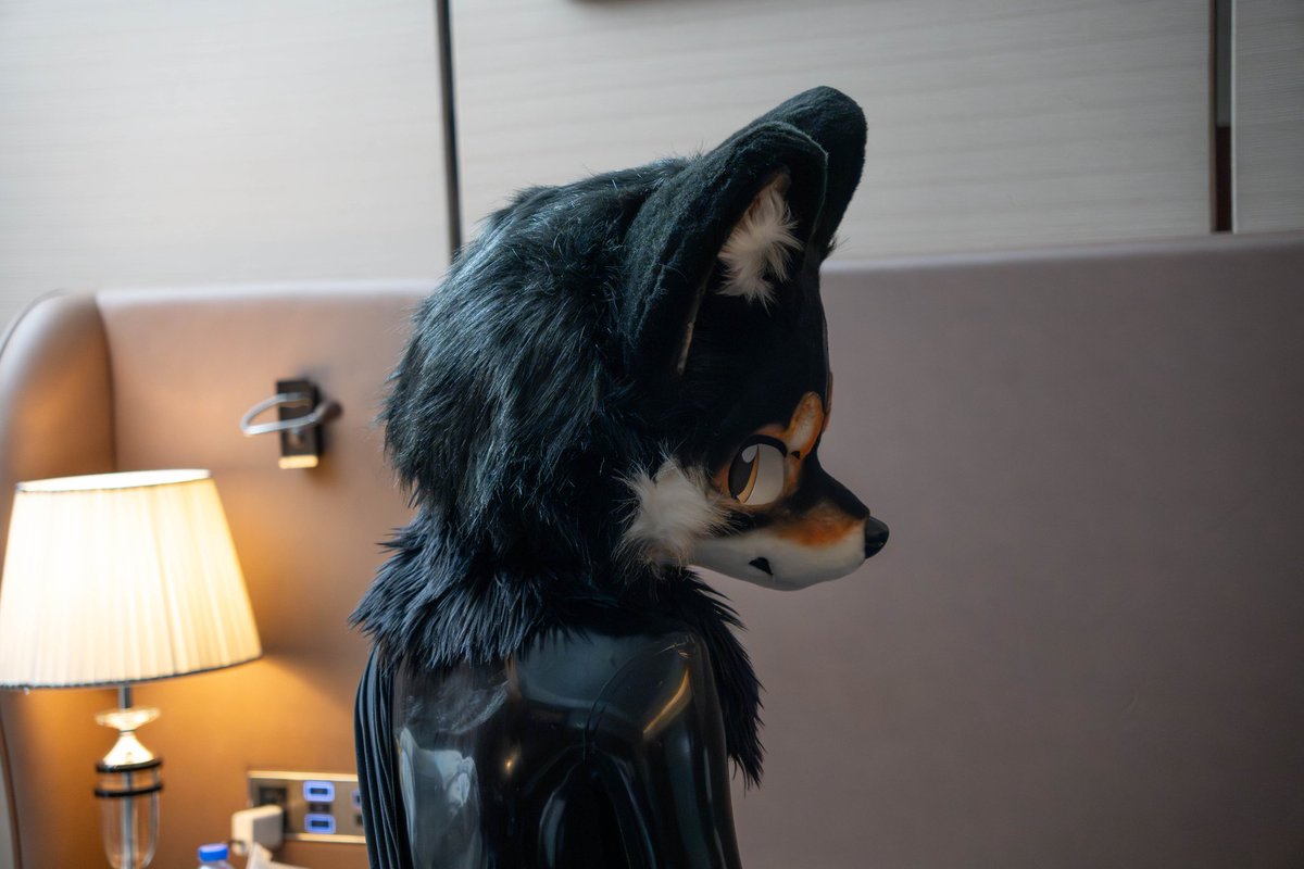 emb1333's tweet image. 预告?
📸:@Huiye_furry