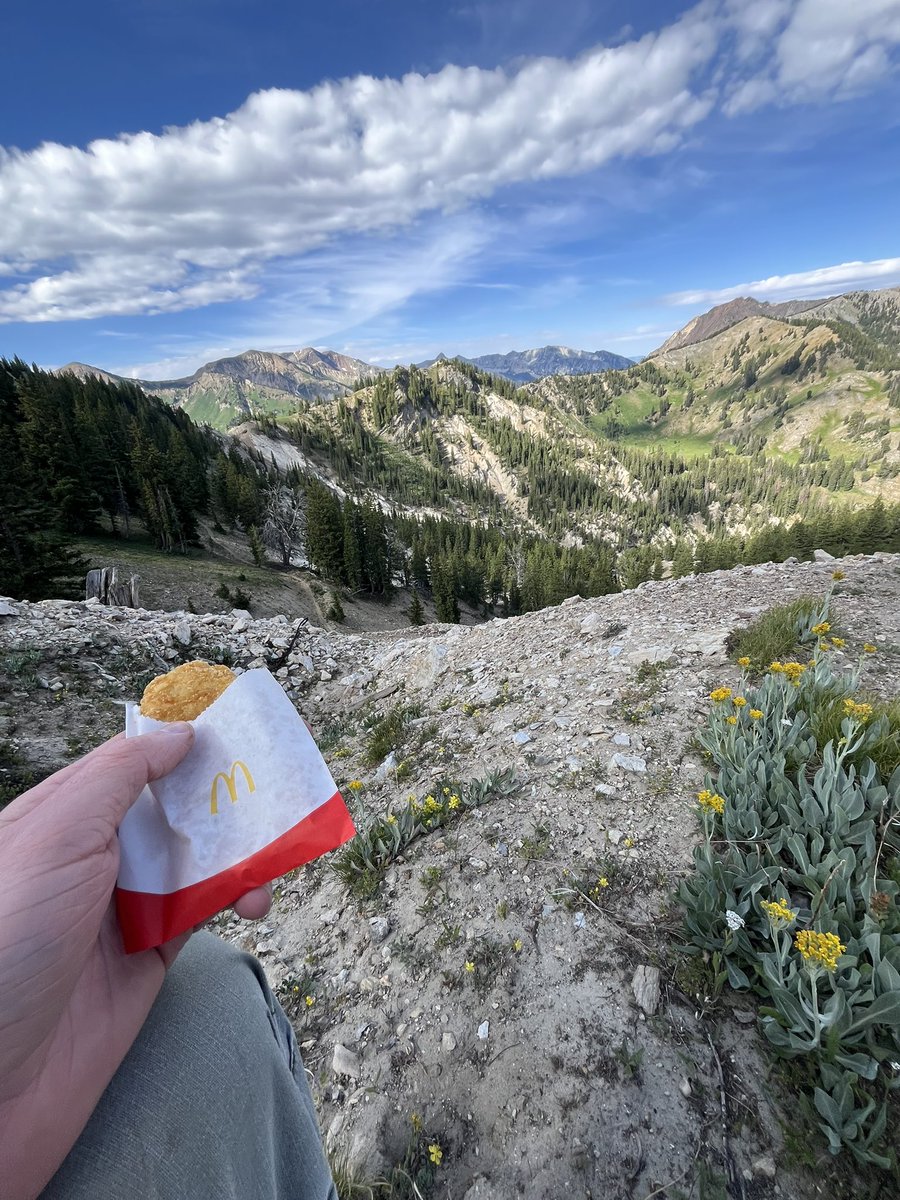 hiImVantor's tweet image. never kill yourself