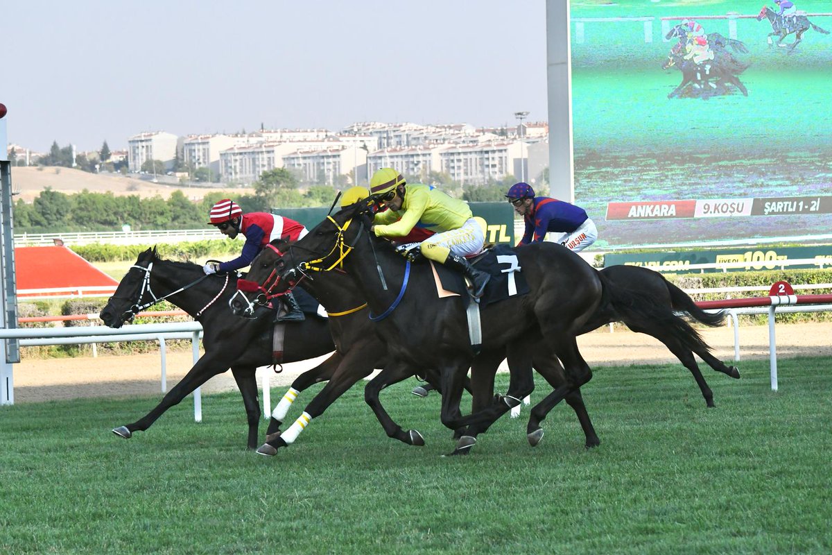 Göktürk Ekürisi (@gokturkekurisi) on Twitter photo MASTER OF RACE yarış hayatına Ankara'da çıktığı Şartlı1 koşuyu jokeyi Ercan Çankaya ile kazanarak başladı. 💛🥇🏇🏼
<a href="/ismettekinalp1/">ismet tekinalp</a>
<a href="/burak_gokturk/">Burak Göktürk</a> MASTER OF RACE yarış hayatına Ankara'da çıktığı Şartlı1 koşuyu jokeyi Ercan Çankaya ile kazanarak başladı. 💛🥇🏇🏼
<a href="/ismettekinalp1/">ismet tekinalp</a>
<a href="/burak_gokturk/">Burak Göktürk</a>
