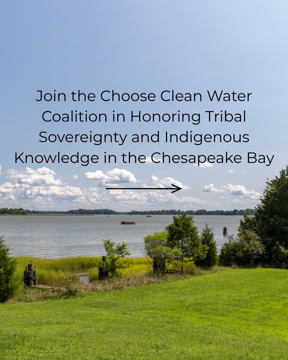 Choose Clean Water Coalition tweet media