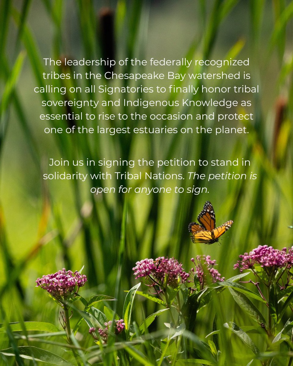 Join us in supporting Tribal Nations and Indigenous Conservation Council’s Signatory status by signing their petition. In order to keep conserving our watershed, it is crucial we include Indigenous Knowledge and individuals at the table. Petition can be found in linktree in bio!