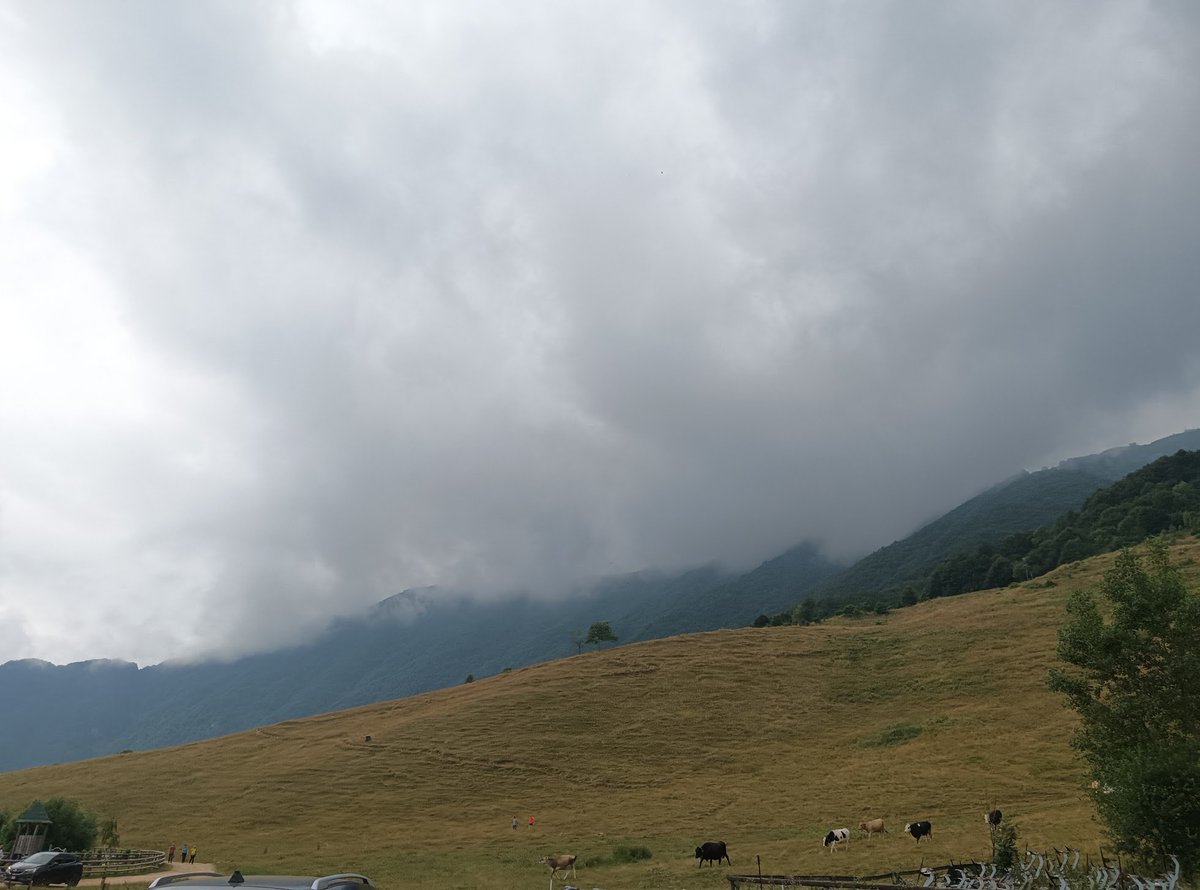ClimateWarrior7's tweet image. My wife is away attempting to procure a motorised vehicle and meanwhile I'm almost out of nicotine.
What provisions are available under ECHR legislation?
Getting to the nearest tobacconist is not a problem. It's all downhill. The problem is getting home again. It's all uphill.