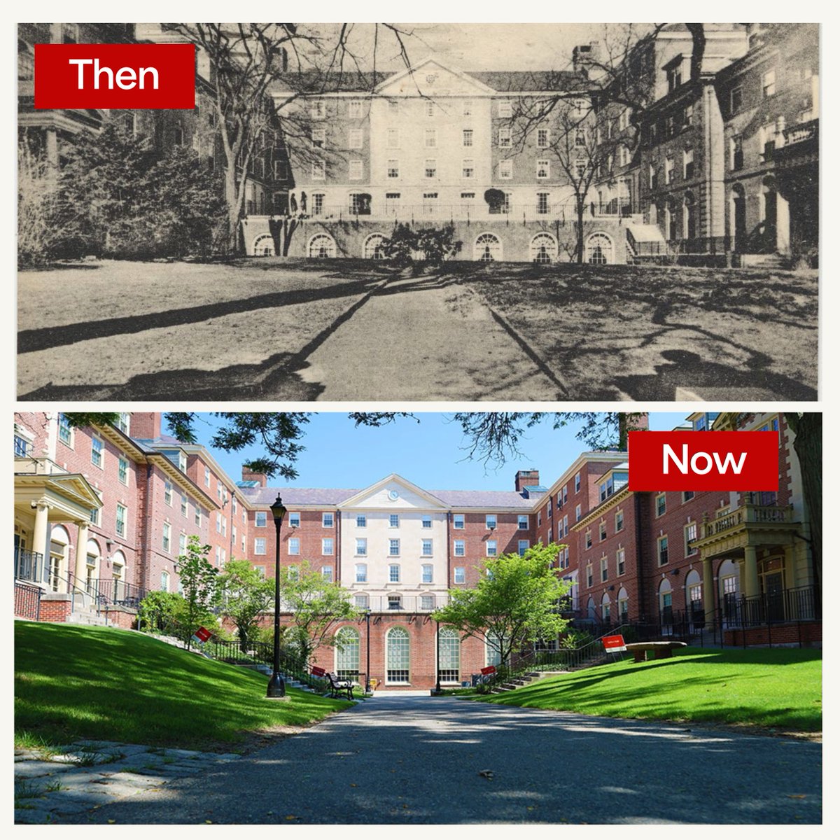 brown_alumni's tweet image. Miller, Metcalf, and Andrews Halls
Then ➡️ Now
#BrownAlumni: Did you call any of these residence halls home when you were a student?
📸 Brown University Library, archival photo (1954)