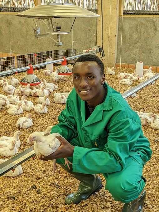 Pacifique DUSABIMANA👨‍🌾 tweet media