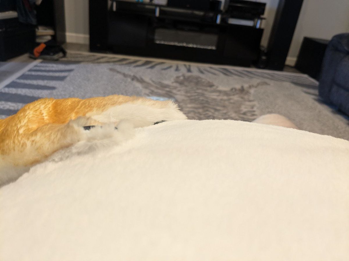 WolfyLion's tweet image. POV: you&apos;re a wolfyLion