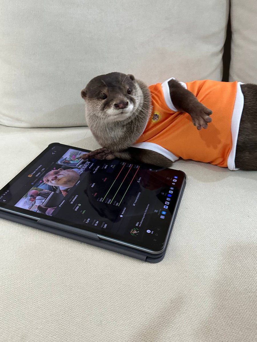 elnickless's tweet photo. @landondyor $degen and here’s why:

Viral cute otter 🦦

And a ticker that’s crypto related? 🔥

And the official owner onboarded with CA in bio 👀 https://t.co/x9exWHzy4X