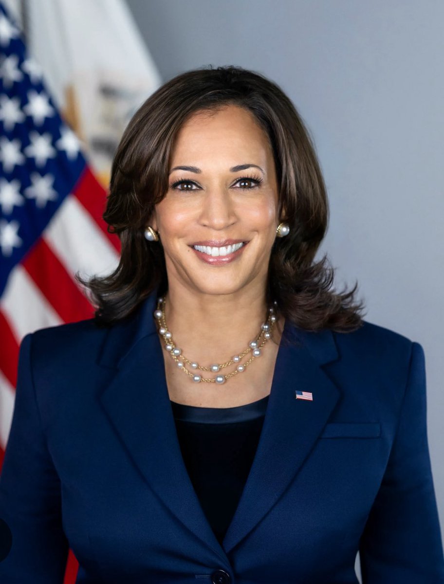 saymaysmith's tweet image. MVP Harris would’ve been better off with Hunter Biden managing her campaign than David Plouffe…
