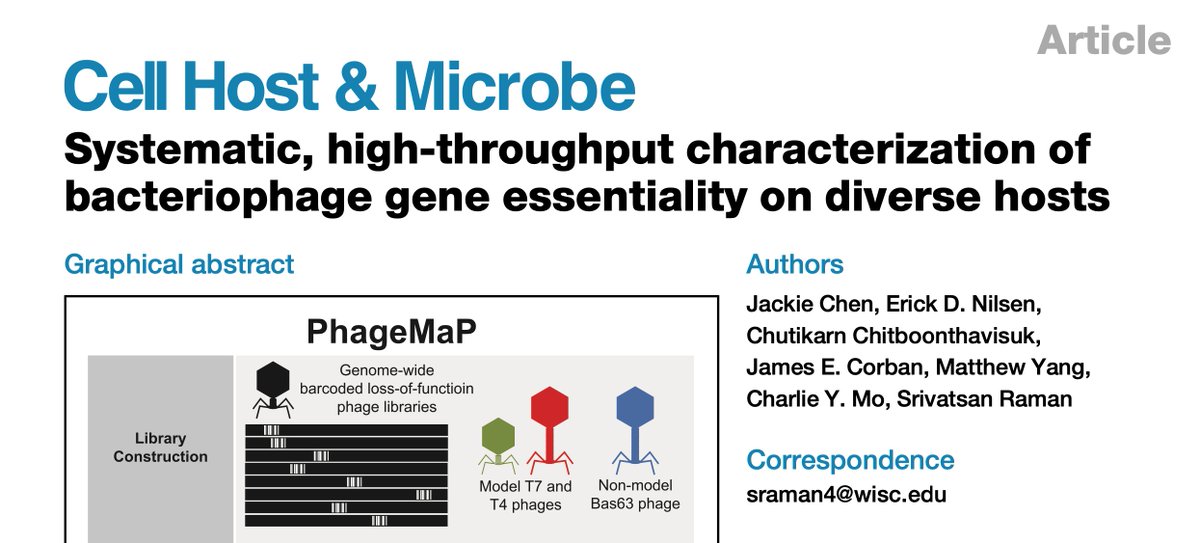 vatsanraman's tweet image. Excited to share our new work—PhageMaP, a high-throughput platform for genome-wide knockout screening in diverse phages across multiple hosts. PhageMap reveals essential, non-essential and conditionally-essential genes, interactors with host anti-phage defenses & enables rational…