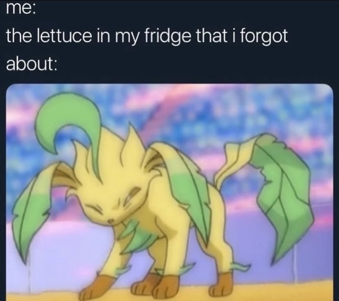 Sinnoh🌙 (@sinnoh_ceo) on Twitter photo 