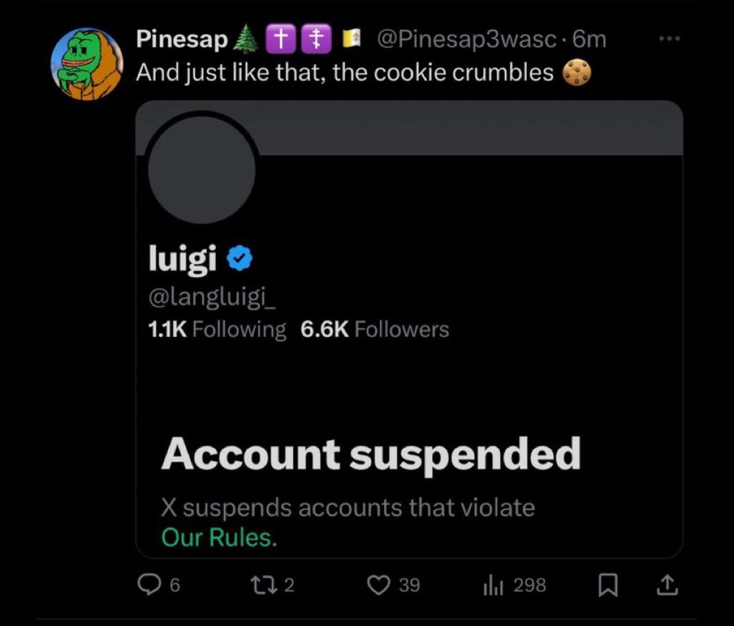 orthodoxluigi's tweet image. Pinesap celebrating when I got banned. But “no enemies on the right” am I right?
