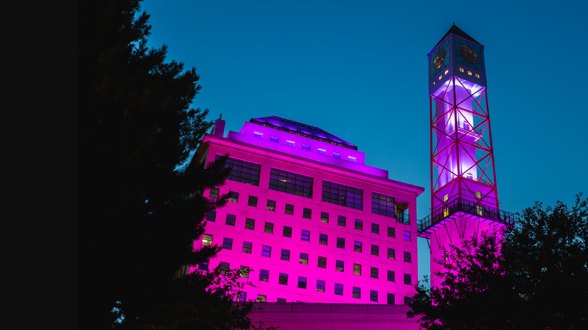 Tonight, we are lighting the #Mississauga Civic Centre clock tower pink for World Fragile X Day. Learn more: worldfragilexday.com #WorldFragileXDay #WFXD #FragileX