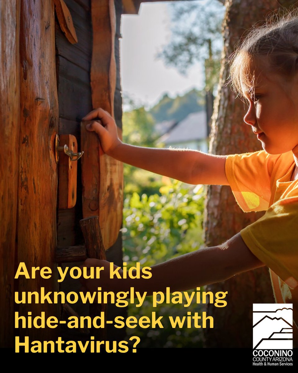 CoconinoHHS's tweet image. Kids play everywhere! Playing in areas that have rodent activity can pose a risk of exposure to hantavirus. Take precautions. Open doors and windows in closed storage areas for at least 30 minutes. Properly clean any signs of rodents. Visit bit.ly/4dS5aHj for more.