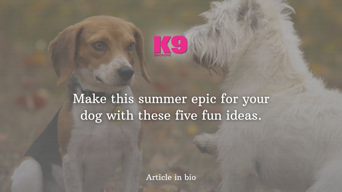Make this summer unforgettable for your dog with these 5 must-do adventures! 🏖️ #k9magazine

k9magazine.com/5-things-that-…