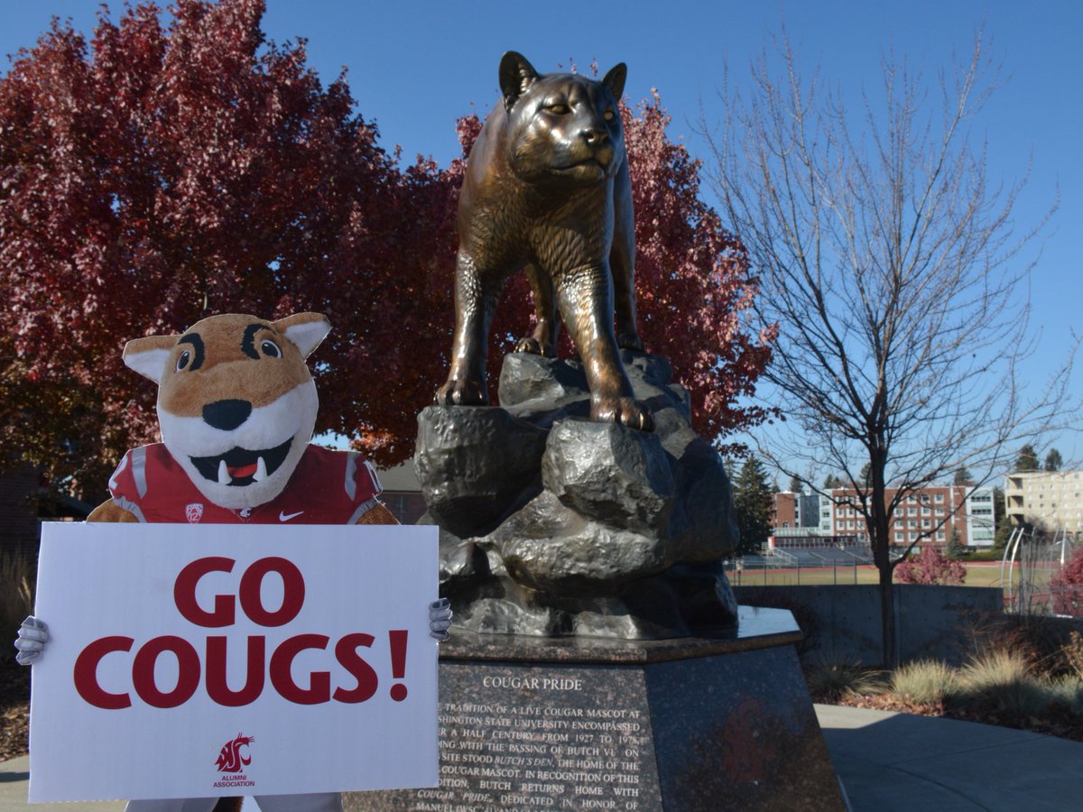 WSUAlumAssoc's tweet image. Let the summer adventures begin!  Grab your Flat Butch and take him everywhere. Post your awesome photos, then hop on Cougs Connect to share your journey and connect with the Coug community! It&apos;s where #FlatButch fun meets fantastic networking. Go Cougs!