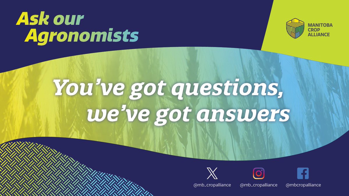 Battling pest, disease or weed issues in your fields? Keep calm and #AskOurAgronomists! 

If you have crop production questions, <a href="/A_Hecs/">Andrew Hector</a>, <a href="/MCA_MorganCott/">Morgan Cott</a> &amp; <a href="/AshAmmeter/">Ashley Ammeter</a> are here to help.

#cdnag #westcdnag #MbAg