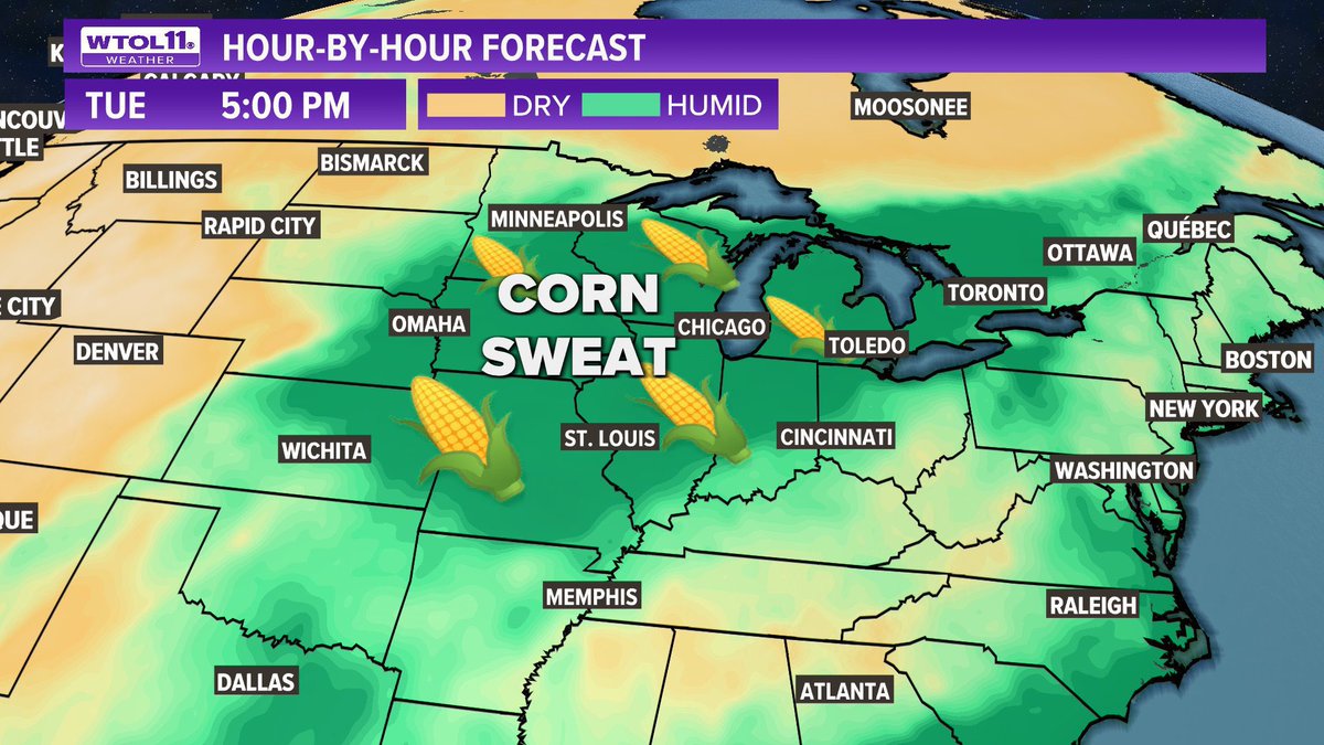 midwestern_ope's tweet image. Let’s confuse Non Midwesterners: Corn Sweat
