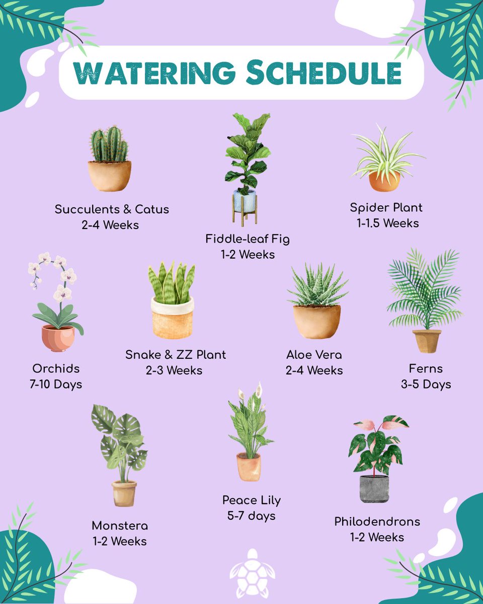 One of the most common reasons houseplants struggle is overwatering or underwatering — but don’t worry, we’ve got your back! 🙌 

Use this handy watering schedule to keep your leafy friends happy, hydrated, and thriving. 🌱✨

#PlantCareTips #IndoorPlants #WateringSchedule