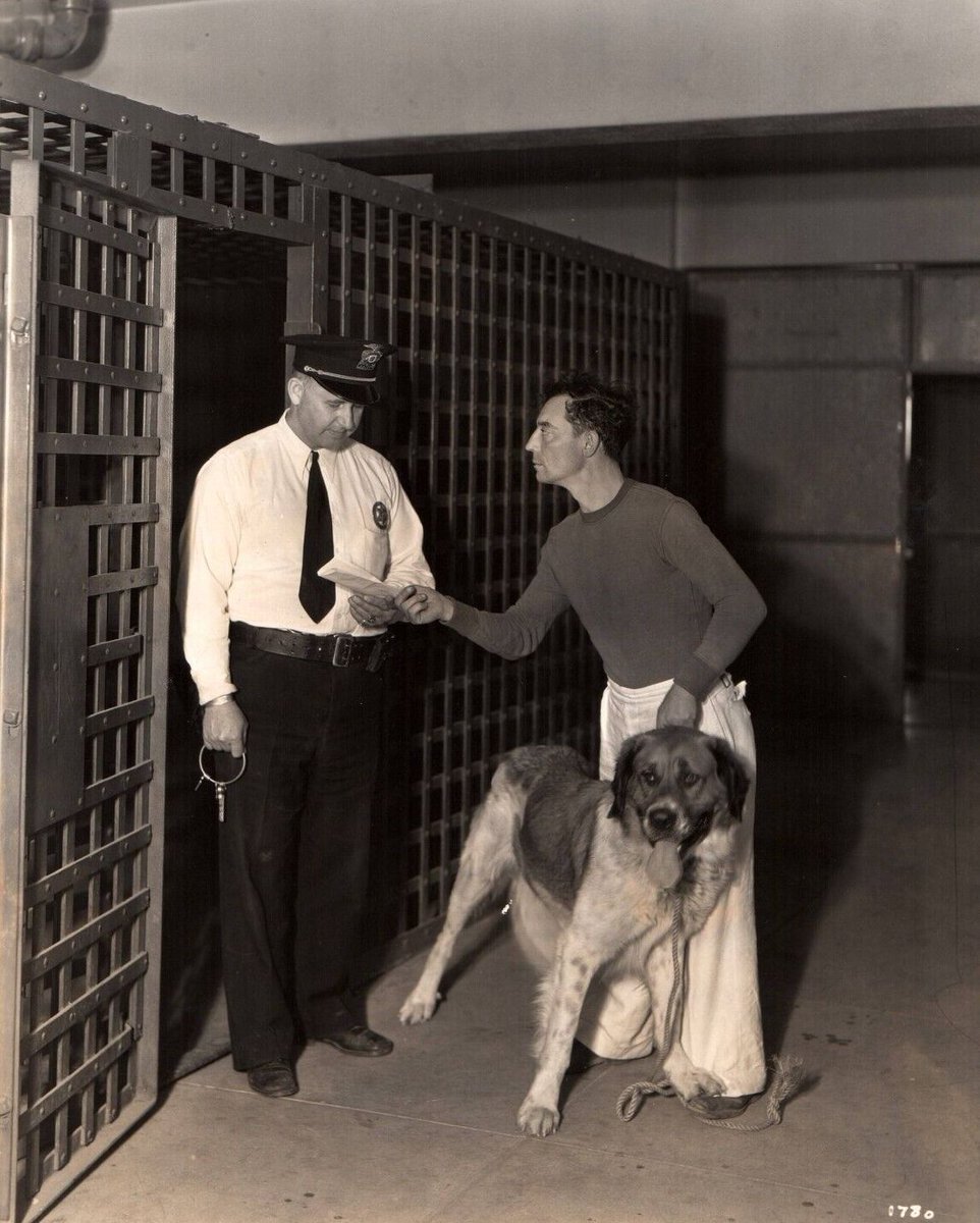 BusterKeatonSoc's tweet image. July 22, 1932
The Norfolk Daily reports that while Buster Keaton was away boating, his dog, Elmer, wandered off and "became notorious in a fight with a Culver City canine and landed in jail, the town having no pound. Elmer ate at the rate of three dollars' worth of meat a day."
