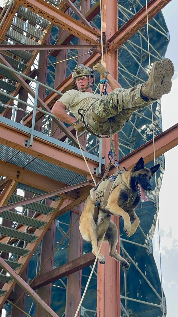 USMarshalsHQ's tweet image. Taking training to new heights.
#USMarshals #USMSK9 #USMarshalsSOG