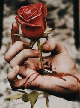 SymphonyLetters's tweet image. Many wounds assumed
for seeing her flourish.