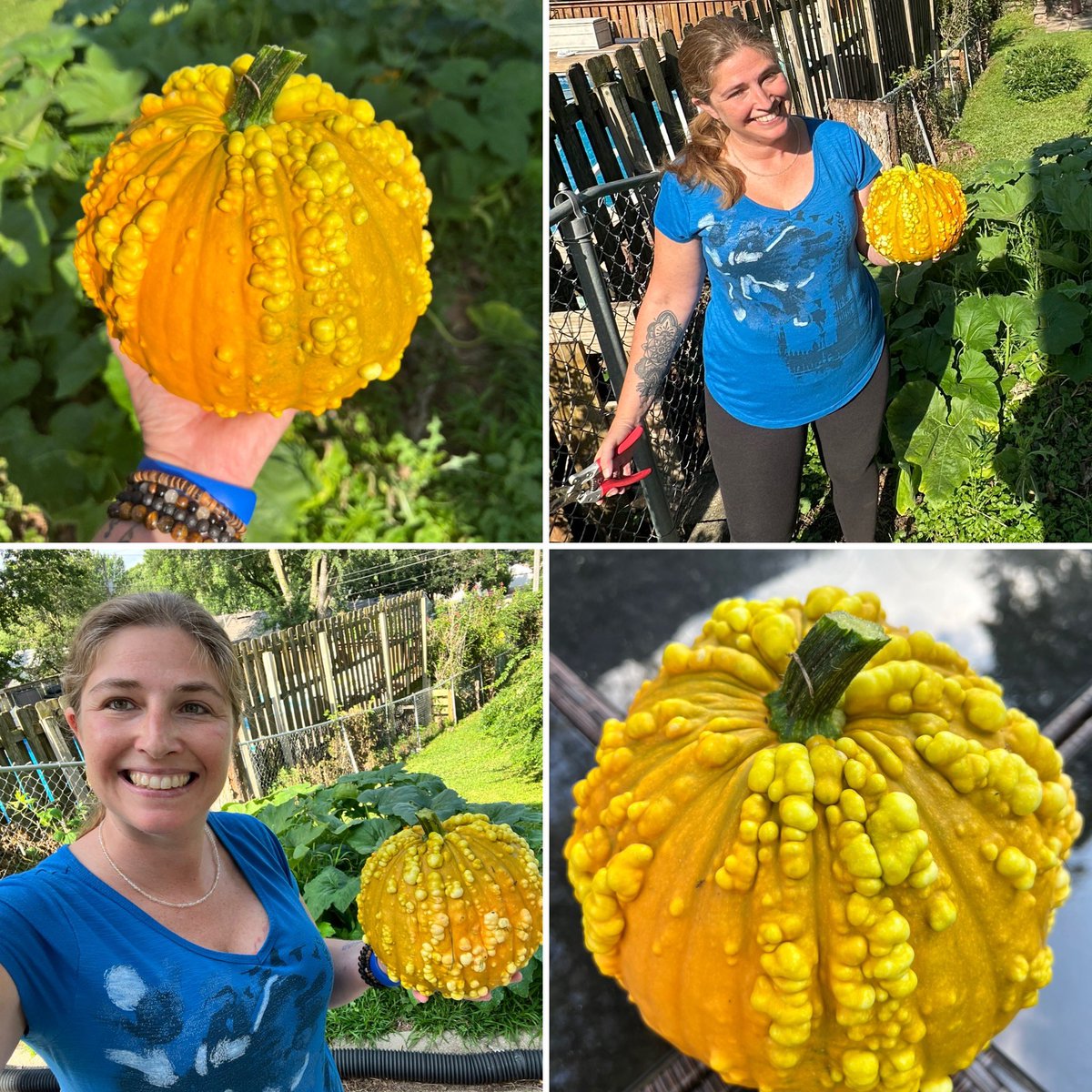 AngelaTague's tweet photo. First pumpkin of the season has been picked! Check out this bumpy, baby goblin pumpkin! 🎃
#Pumpkin #GoblinPumpkin #GrowStuff #GetOutside #ThisIsIowa #PumpkinSeason https://t.co/ygxTF9A5Sc