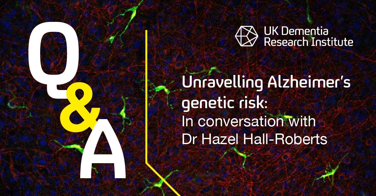 UKDRI's tweet image. How can we better understand the impact of genetics on Alzheimer's risk?
We spoke to @HazelLRoberts about her role in IPMAR, a major UK DRI initiative that established 100 stem cell lines, capturing the effects of Alzheimer's risk genes👉buff.ly/xDH8PnT