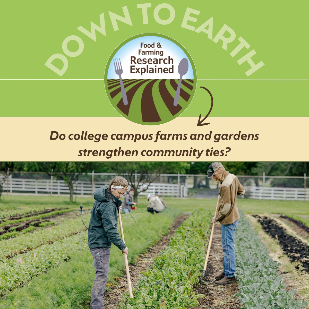 ASA_CSSA_SSSA's tweet image. Do campus gardens do more than just growing plants? A fascinating new study highlights how these green spaces are actively connecting communities and serving as educational tools for students! Learn more: ow.ly/1zan50WpRTX
@OKstateHORTLA
@UGA_CollegeofAg
@cropSoilUGA