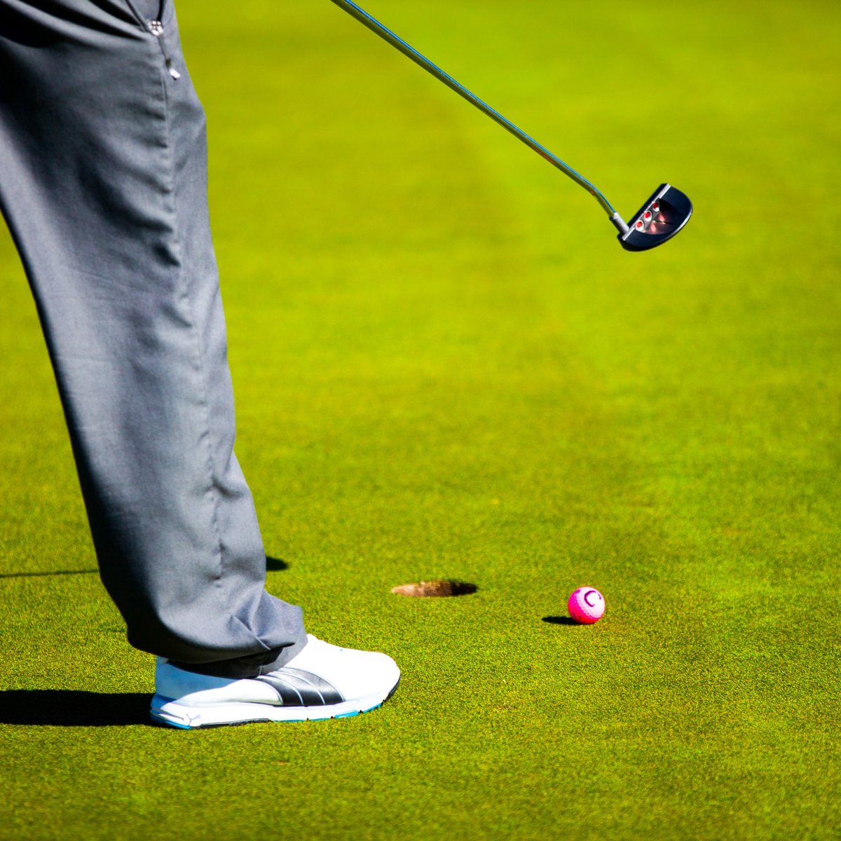 🏆 Congrats to the Champion of The Open! ⛳

Just like a championship course, every great landscape starts with the right foundation — and at Ewing, we’re proud to support pros who aim for perfection in everything they do.

#TheOpen #GolfChampion #LeanOnUs #EwingOutdoor