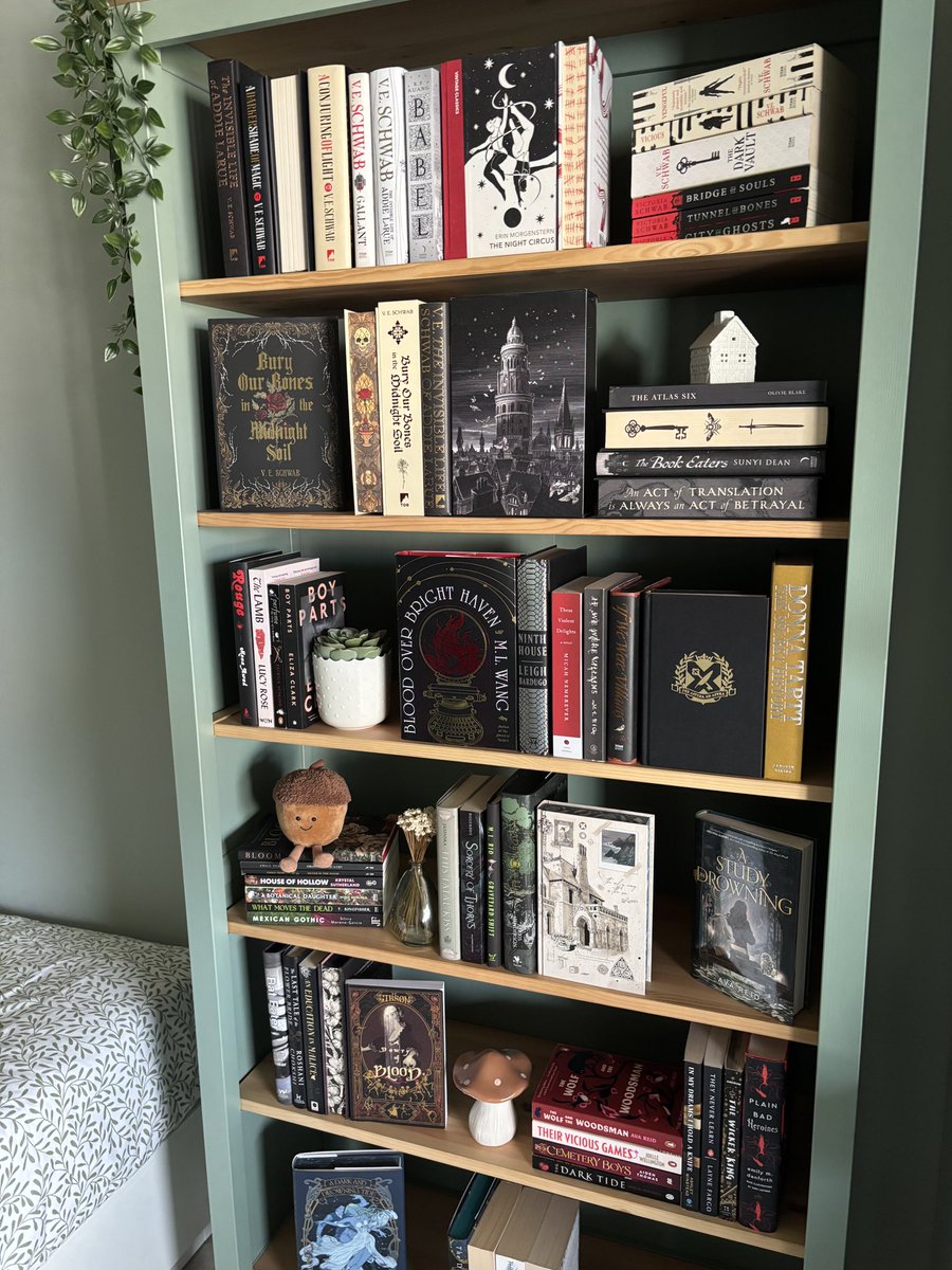 iichliwsith's tweet image. my new bookcase is so hot