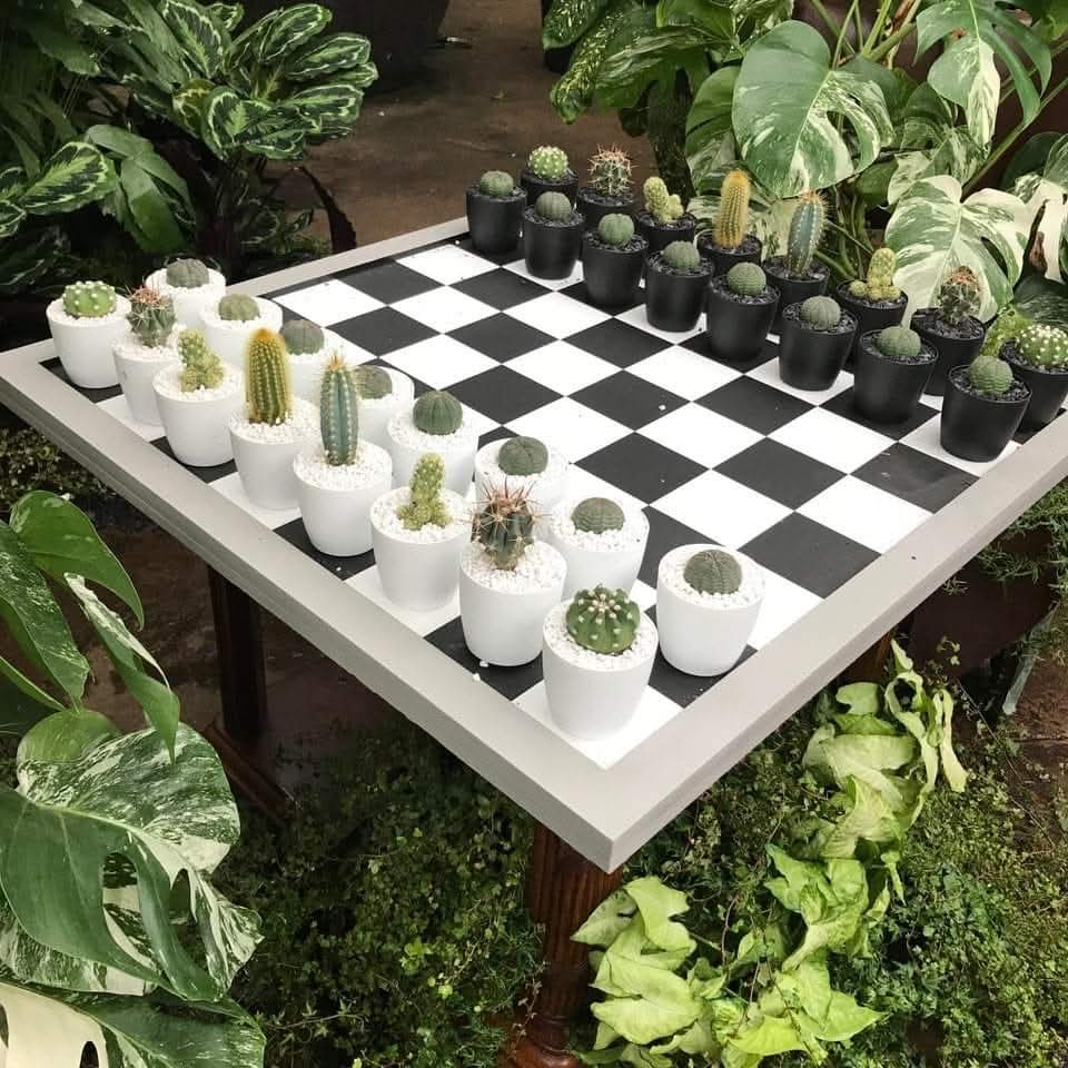 gzarrilli's tweet image. Ajedrez botánico, cactáceas