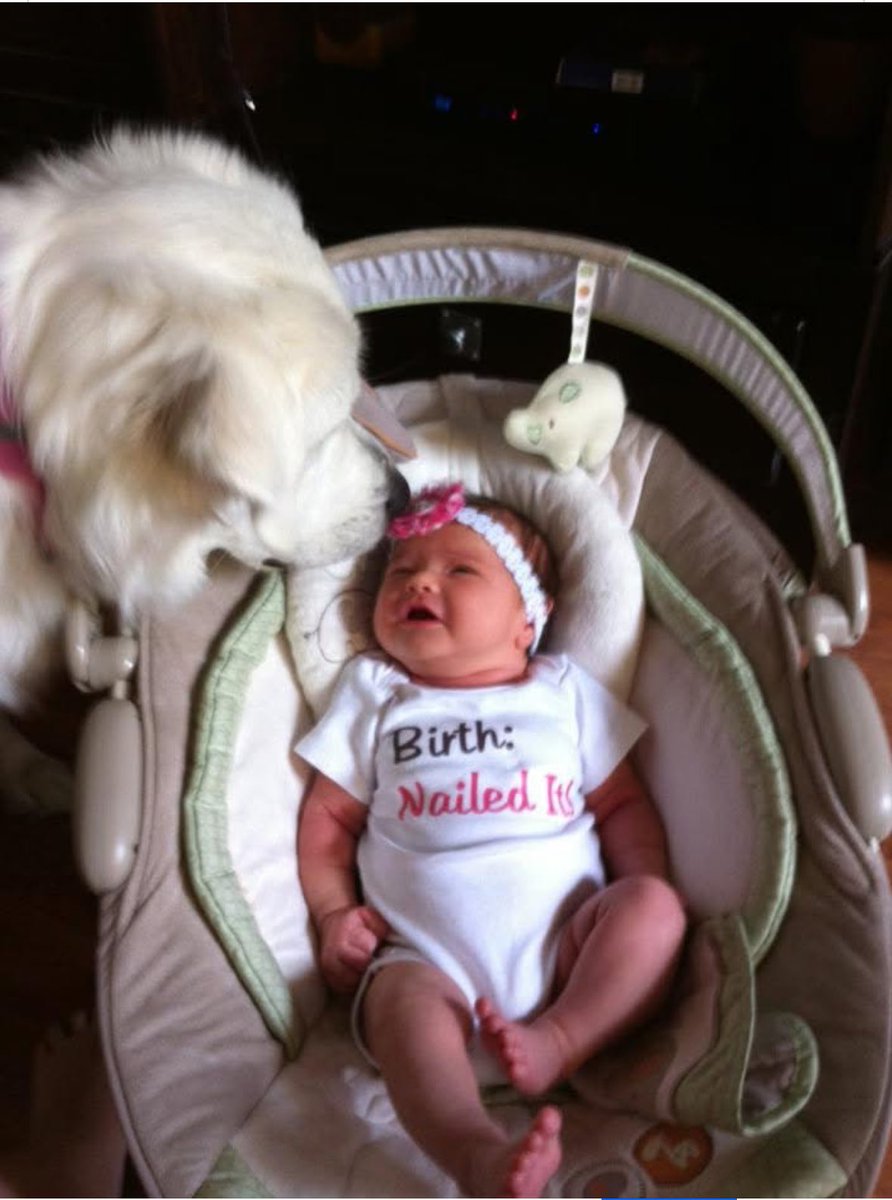crogers_htown's tweet image. One of my favorite pictures of all time
Our new born girl (who’s now 12 😭) meeting our lovable and protective GP.
They had an amazing bond.