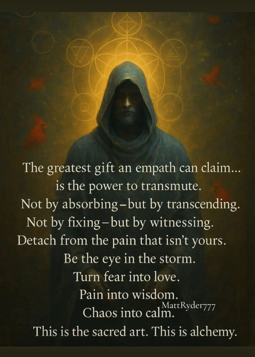 MaryAnn_Warrior's tweet image. Transmute, Transcend, Witness & lovingly Detach in a healthy manner