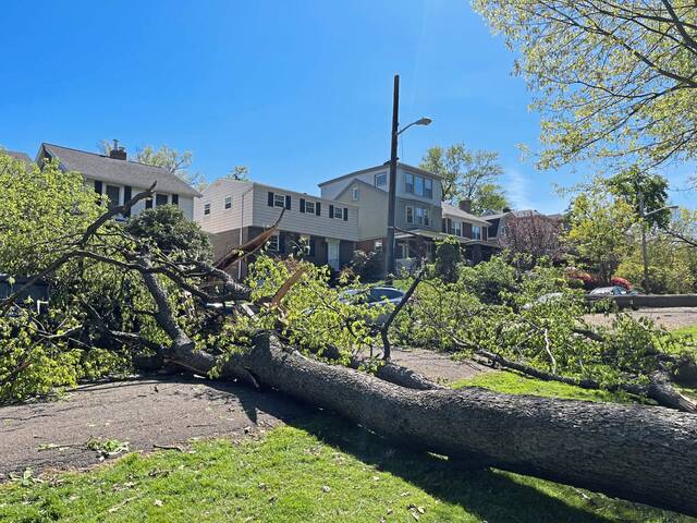 PGHDistrict8's tweet image. Tomorrow, July 23rd at 2:30 PM, Council will be hosting a Post-Agenda hearing regarding the City's emergency response and readiness following the April 29 severe weather event.
Watch live on YouTube: youtube.com/@CityChannelPi…