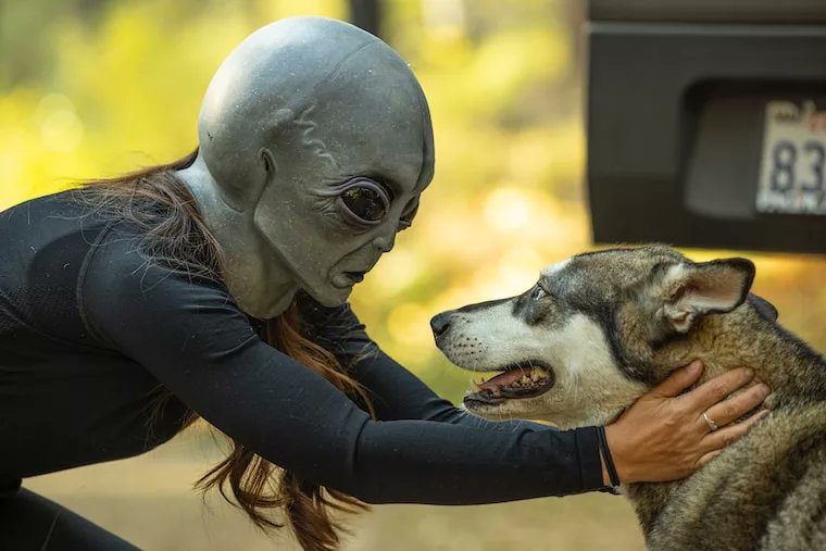 DracoBlaze51's tweet image. On April 24, 1964, Lonnie Zamora, a police officer in New Mexico, witnessed a UFO landing and saw two humanoid figures in silver suits near the craft. Despite skeptics' attempts to discredit his story, Zamora's account remains ... Read more #UFOTwitter👉 alienatedmedia.com/the-lonnie-zam…