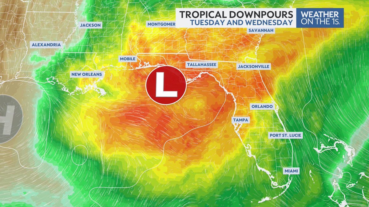 ZachCoveyTV's tweet image. Atmospheric moisture values are nearing the top 1% across Central Florida the next 48 hours. Expect several inches of rainfall through Thursday AM.
And while Flash Flooding will be very isolated, we will need to watch spots in Marion county for that threat. #FLwx @mynews13