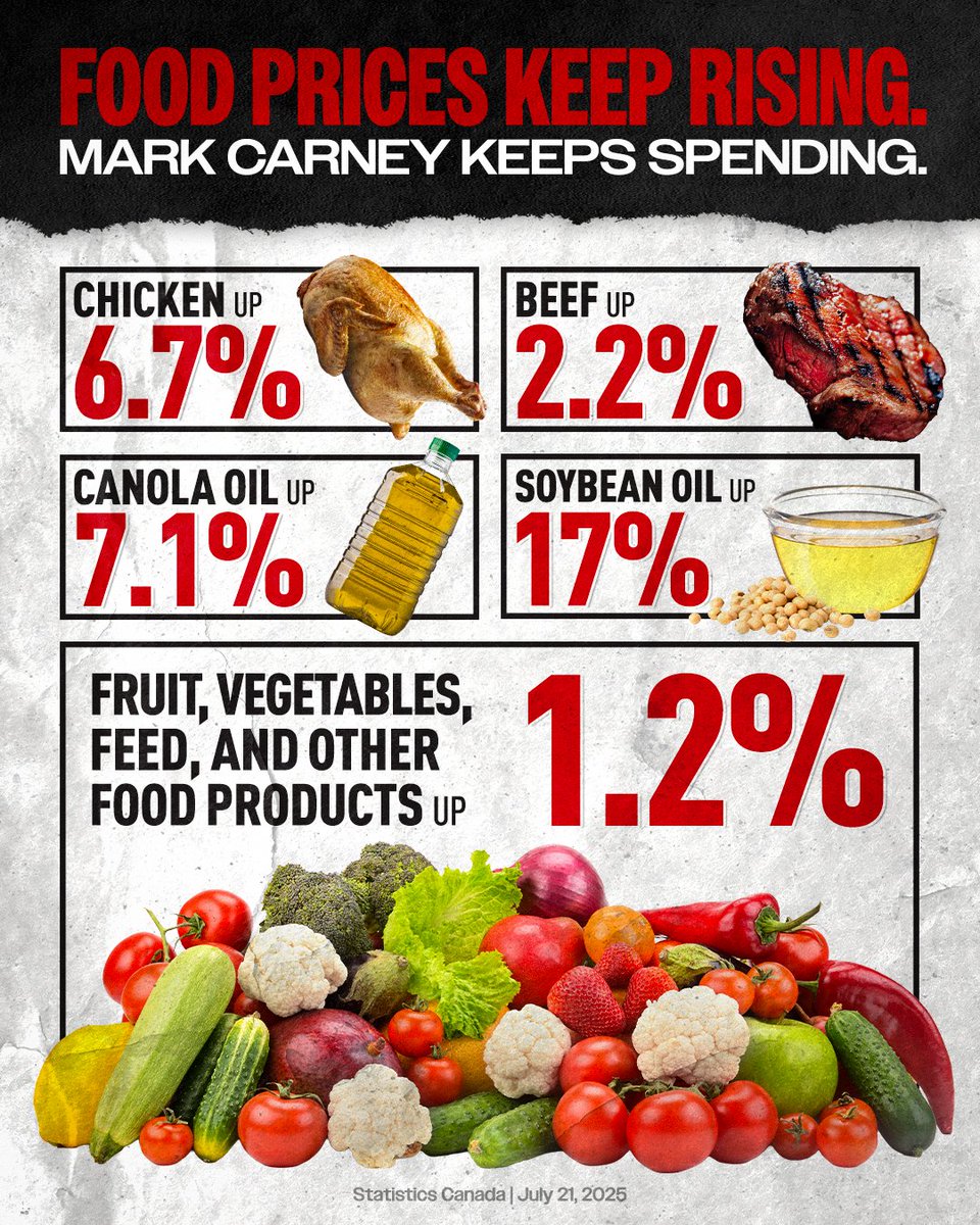 AndrewScheer's tweet image. Mark Carney said that he wants to be judged by prices at the grocery store.
Well, the results are in. He spends more and you get less.
Canada deserves a government that will cut wasteful spending so Canadians can afford to put food on the table.
#cdnpoli