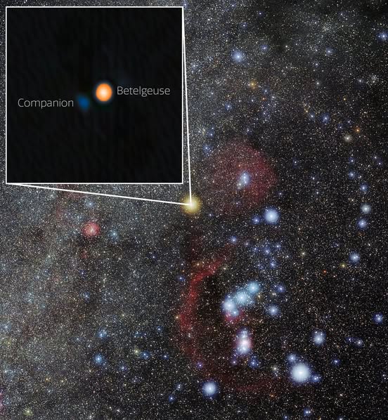 ShiningScience's tweet image. BREAKING NEWS🚨: Betelgeuse is not alone! And we have image.
Astronomers confirmed that the red supergiant has a companion star, and for the first time they were able to see it directly!
It's a blue-white star, detected with the Gemini North telescope in Hawaii.