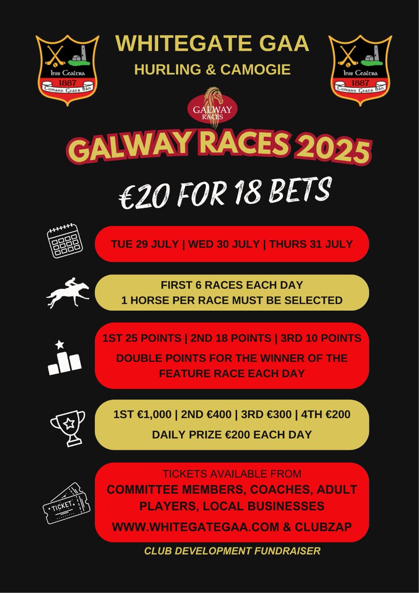 Whitegate GAA Hurling & Camogie Club tweet media