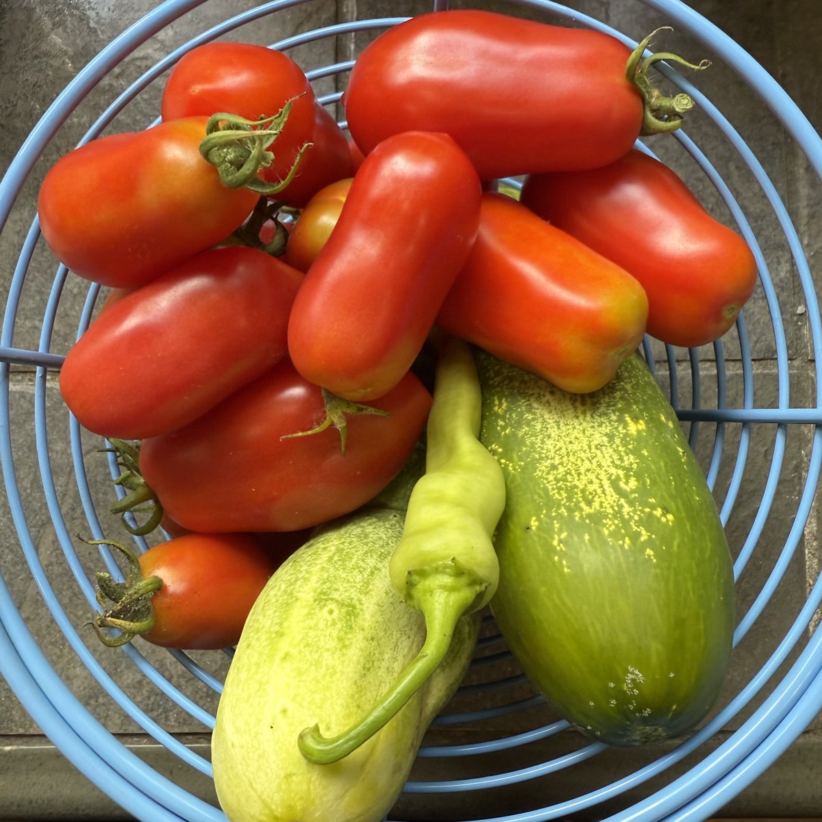 BuckHillsFarm's tweet image. Our garden area is a complete mess and totally chaotic, but this is today’s haul. Not including any of our herbs and things😁