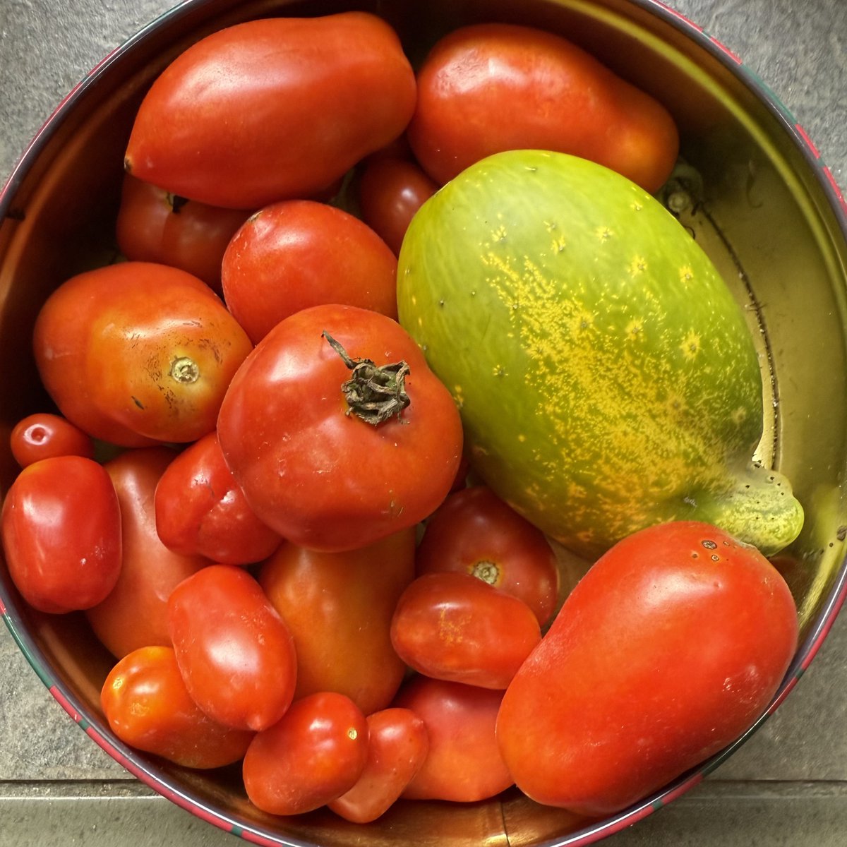 BuckHillsFarm's tweet image. Our garden area is a complete mess and totally chaotic, but this is today’s haul. Not including any of our herbs and things😁