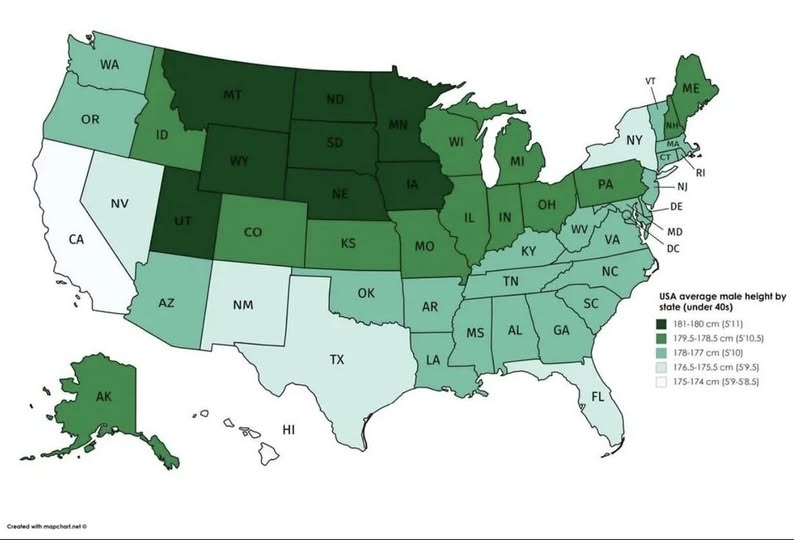 AvoidinBabylon's tweet image. No wonder why Anthony (NY) and Jason (TX) don't think that they're short...