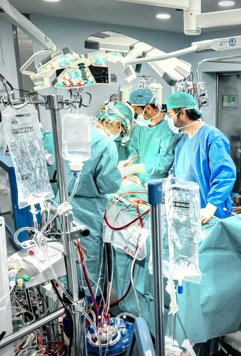 Juanma Moreno (@juanma_moreno) on Twitter photo Nuevo hito de la Sanidad Pública andaluza: el <a href="/HospitalUVRocio/">HospitalUVRocio</a> ha realizado cuatro trasplantes y ha atendido una donación multiorgánica en solo 24 horas.
Gran noticia que da muestra de la capacidad de nuestro sistema todo el año.
¡Enhorabuena a los sanitarios!
👏👏👏 Nuevo hito de la Sanidad Pública andaluza: el <a href="/HospitalUVRocio/">HospitalUVRocio</a> ha realizado cuatro trasplantes y ha atendido una donación multiorgánica en solo 24 horas.
Gran noticia que da muestra de la capacidad de nuestro sistema todo el año.
¡Enhorabuena a los sanitarios!
👏👏👏