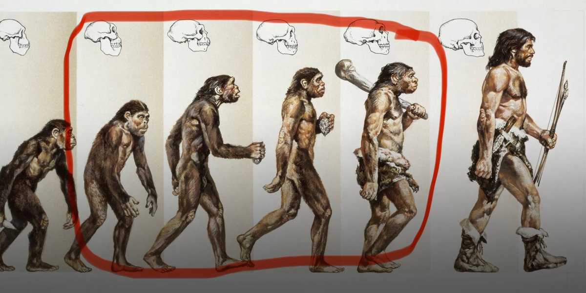 Boomstick44's tweet image. We have monkeys and 8 billion people on this planet but where are any of these guys?
“So God created mankind in his own image"
-Genesis 1:27