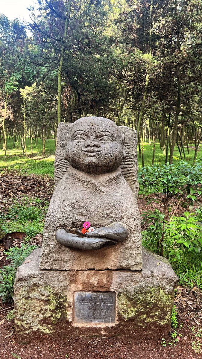 AndresLP2's tweet image. #ViverosDeCoyoacán