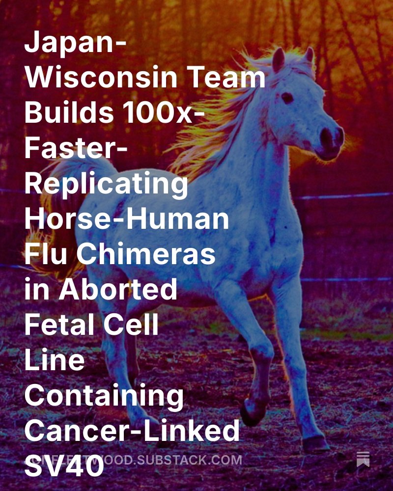 JonMFleetwood's tweet image. Japan-Wisconsin Team Builds 100x-Faster-Replicating Horse-Human Flu Chimeras in Aborted Fetal Cell Line Containing Cancer-Linked SV40
Lab-built horse-human influenza chimeras replicated 100x faster in aborted fetal cells engineered with SV40—a virus that disables tumor…